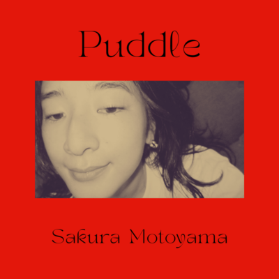 Puddle Front Cover
