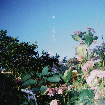 キミノセイサのジャケット写真