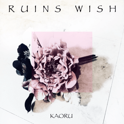 RUINS WISHのジャケット写真