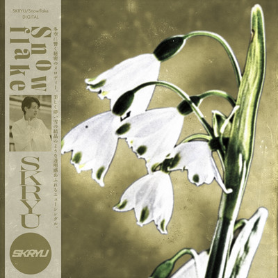 Snowflake Front Cover