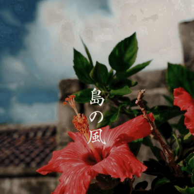 島の風のジャケット写真