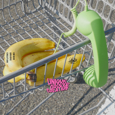 UNIQUE GROOVE CREATIONのジャケット写真