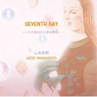 SEVENTH DAY ~いつかあなたに帰る瞬間(とき)~のジャケット写真
